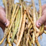 Women’s leadership in climate action and agrobiodiversity in Guajira and the Chingaza and Sumapaz paramos.