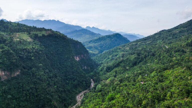 Conozca oportunidades de financiación para Soluciones Basadas en la Naturaleza y una facilidad para financiarlas