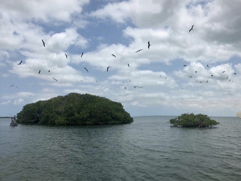 Protección de las zonas costeras en Colombia