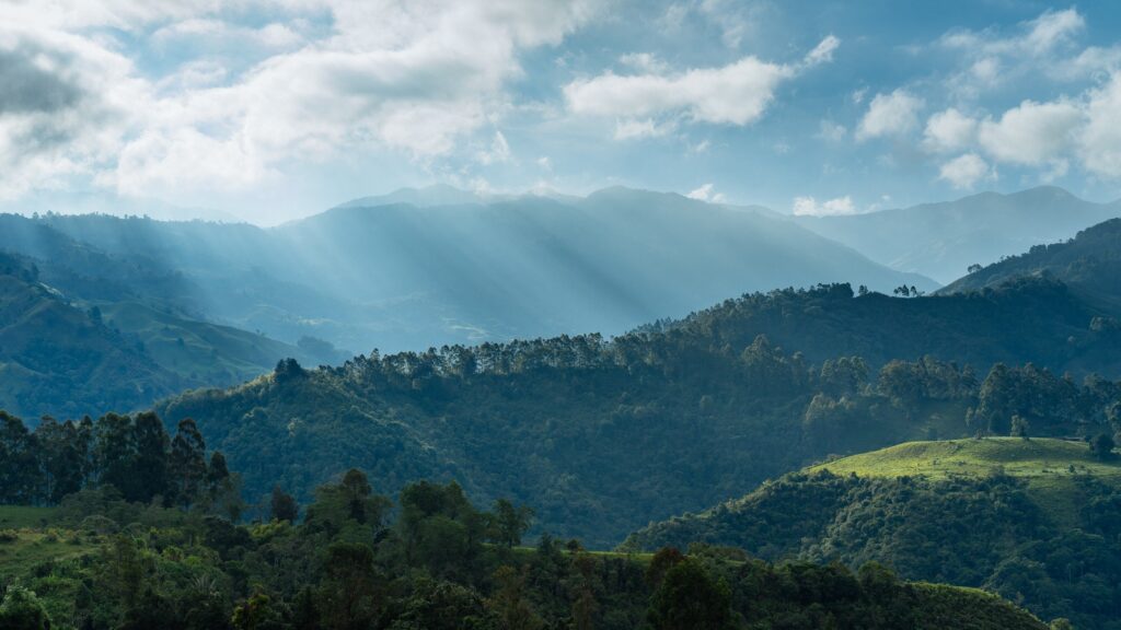 Gestión de áreas protegidas para la conservación de la biodiversidad y la mitigación del cambio climático