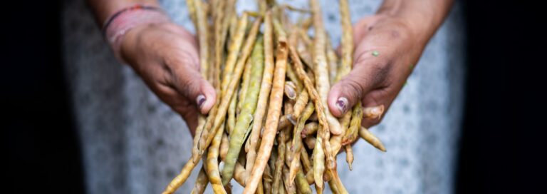 Women’s leadership in climate action and agrobiodiversity in Guajira and the Chingaza and Sumapaz paramos.