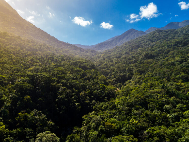Transformar las cadenas de suministro agrícola para evitar la deforestación y la reconversión en América Latina
