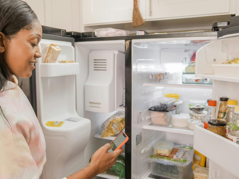 Gestión y destrucción de sustancias que agotan la capa de ozono y dañan el clima en aparatos de refrigeración