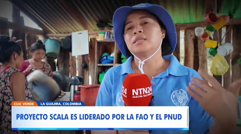 En La Guajira florece la resiliencia en medio del desierto