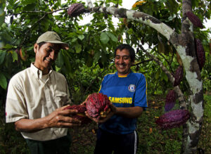 Productos sin deforestación: cómo el reglamento EUDR puede impulsar el desarrollo sostenible y fortalecer el comercio en Sudamérica