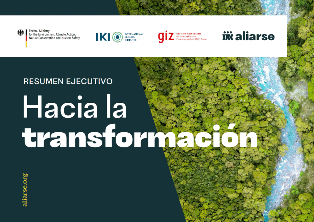 Stakeholder mapping for the implementation of the 2030 Agenda, national action plans and transformation pathways: Brazil, Costa Rica, Colombia, Jamaica and Peru.