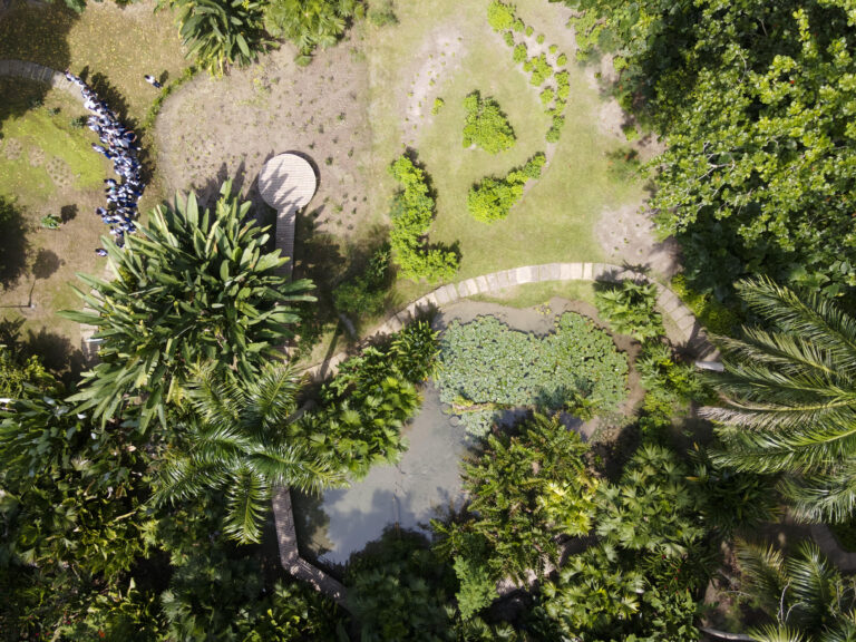 Empoderamiento de jóvenes líderes y sus iniciativas de conservación en el bosque tropical de Turbaco
