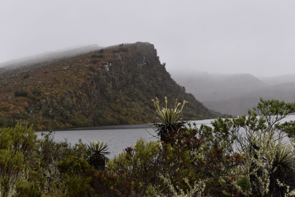 Meta-análisis de sinergias de la biodiversidad y cambio climático