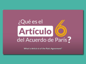 Article 6 of the Paris Agreement: the key for your country to accelerate climate action