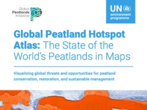 Atlas Mundial de Zonas Críticas de Turberas