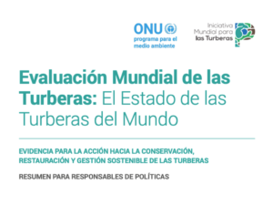 Resumen para Responsables de Políticas de la Evaluación Mundial de las Turbera