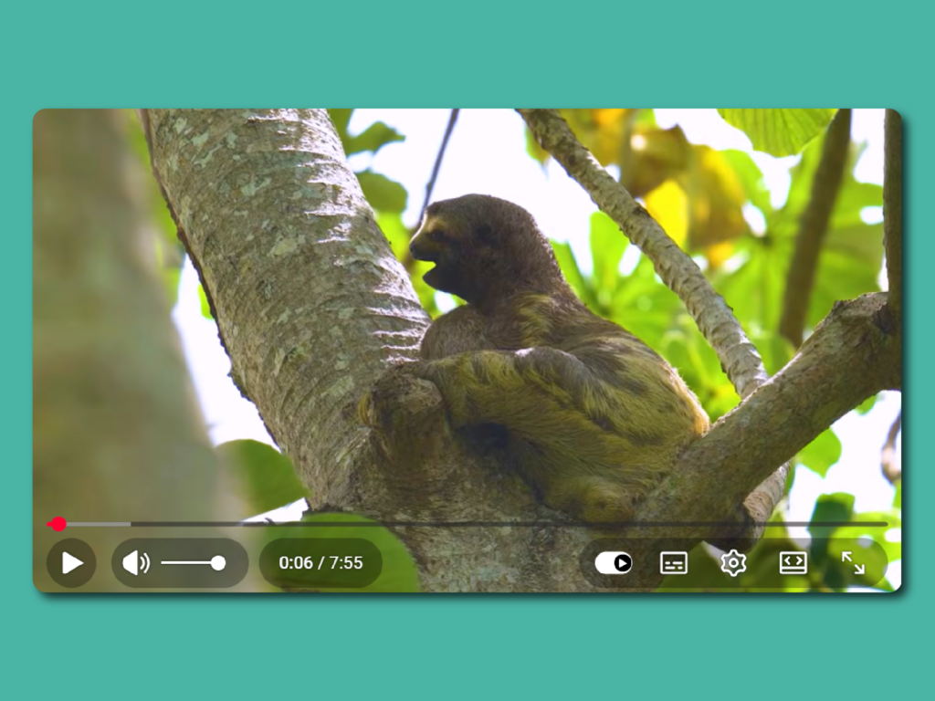 Proyecto Espavé: Empoderamiento de jóvenes líderes y sus iniciativas de conservación en el bosque tropical de Turbaco
