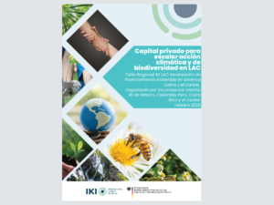 Factsheet sobre el taller regional virtual de las IKI Interfaces en América Latina y el Caribe: Movilizar financiamiento sostenible