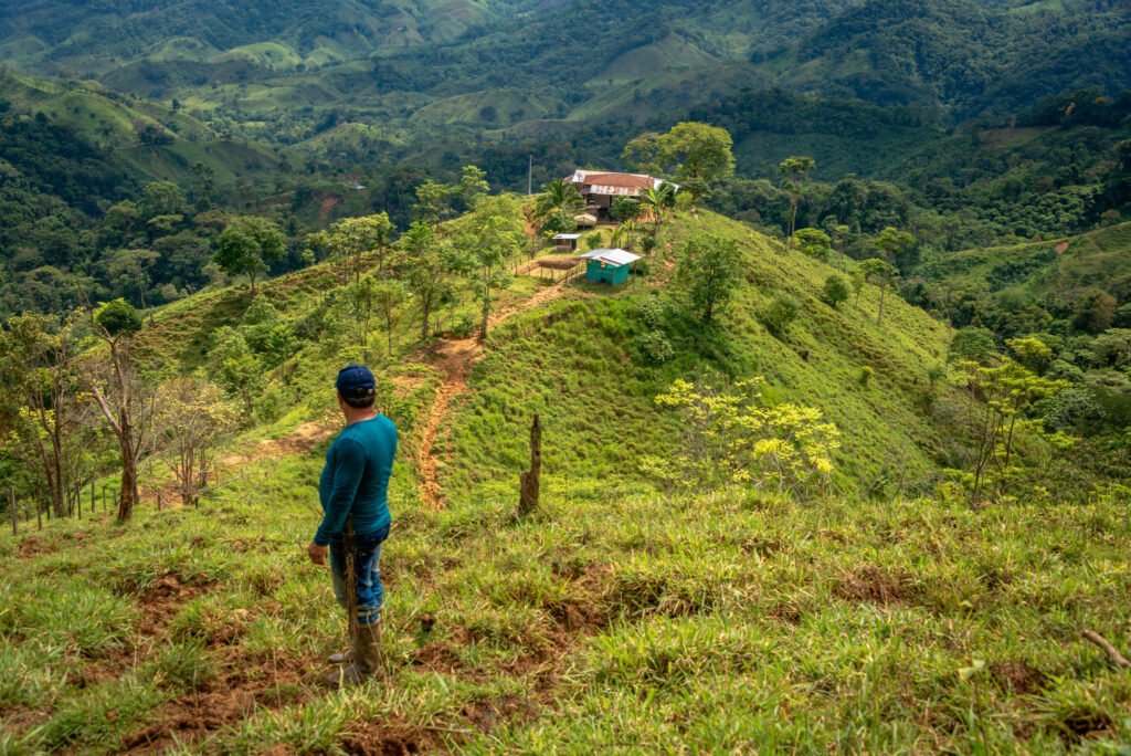 Planificar la finca para cuidar la vida: una guía para la conservación y el manejo de la biodiversidad