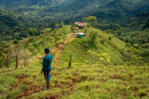 Planificar la finca para cuidar la vida: una guía para la conservación y el manejo de la biodiversidad
